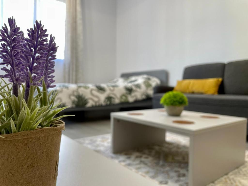 Belvedere Apartments บูคาเรสต์ ภายนอก รูปภาพ